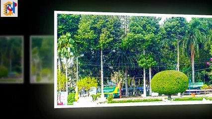 Triển Lãm Sinh Vật Cảnh Sadec Tết Đinh Dậu 2017