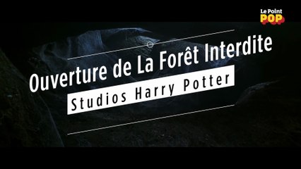 La Forêt Interdite révèle tous ses secrets aux Studios Harry Potter