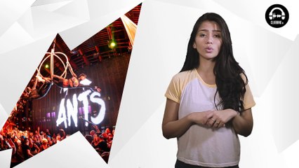 Ants Ibiza is taking over Ushuaia!