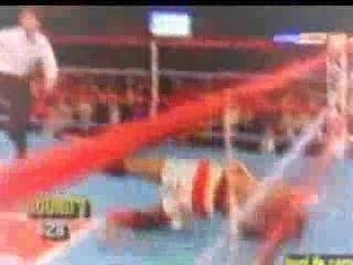 Roy Jones jr fight ko