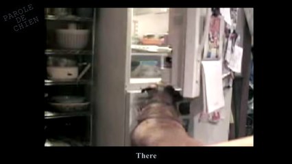 UNE PETITE FAIM - PAROLE DE CHIEN