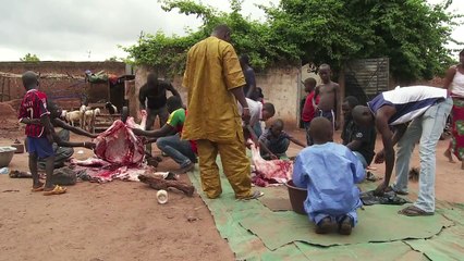 Farafin ko : une cour entre deux mondes