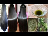 How To Grow Long and thicken Hair Naturally and Faster - Magical Hair Growth Treatment 100% Works
