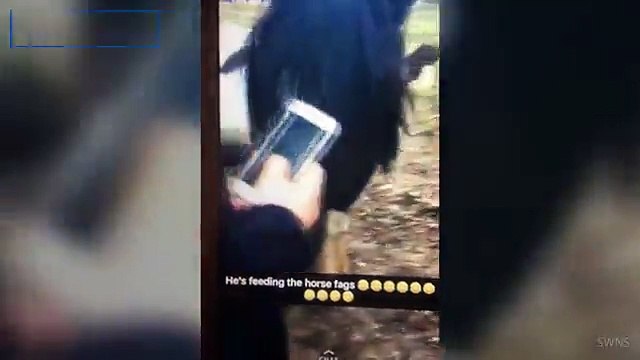 Teenagers stuff CIGARETTES into horse's mouth in Surrey _ Daily Mail Online