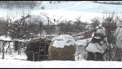 Video herunterladen: Situata nga moti i keq - Rriten temperaturat, problem akset në zonat rurale në Qarkun e Dibrës