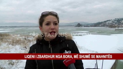 LIQENI I ZBARDHUR NGA BORA, MË SHUMË SE MAHNITËS