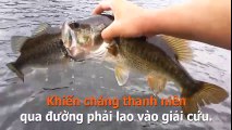 Trớ trêu hài hước thanh niên giải cứu cặp đôi cá lâm vào tình huống khó xử