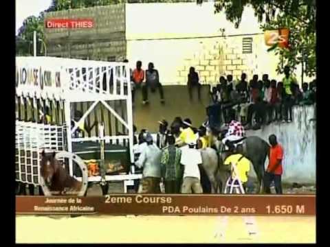 SANGOMAR DIRECT THIES