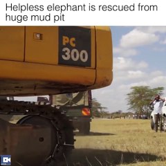 Viral Thread - Faith in humanity