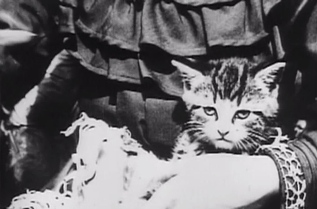 George Albert Smith: Sick Kitten (1903)