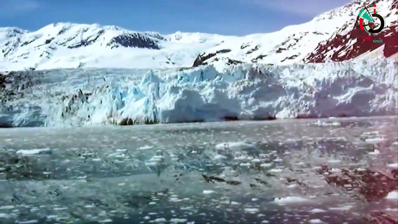 Top 10 Beautiful Massive Icebergs   Best Massive Icebergs ever caught on camera ✔P1