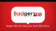 Madison Wisconsin SEO Company - Badger SEO