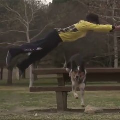 Amazing Dogs skills !!!!