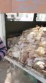 Dead Chickens For Shwarama