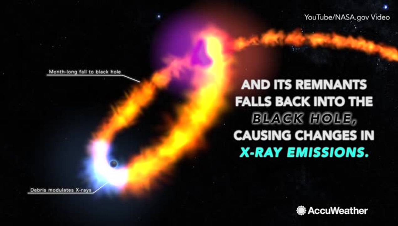 Star's death spiral into a black hole