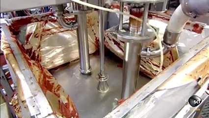How Ketchup Made