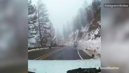 Driver with cat-like reflex swerves to avoid falling rock
