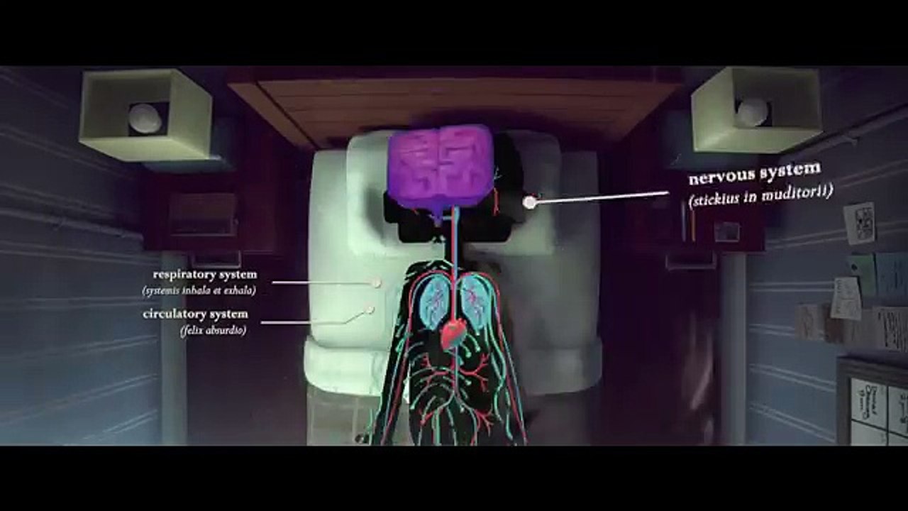test.mp4