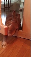 羽生善治名人、妻（嫁）で元女優の畠田理恵さんと別居？ ひーち�