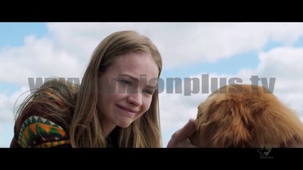 Next - Cinema - A dog’s purpose & Resident Evil - 23 Janar 2017 - Show - Vizion Plus