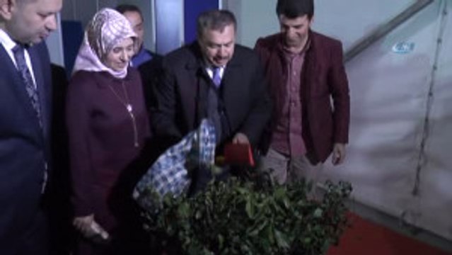 Orman ve Su İşleri Bakanı Veysel Eroğlu: Giresun'dan Gelen Her Talebe Evet Diyoruz ve Her Şeye...