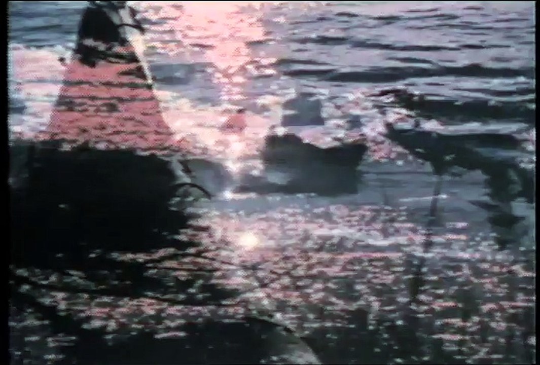 People Start Pollution. People Can STILL Stop It. | Keep America Beautiful