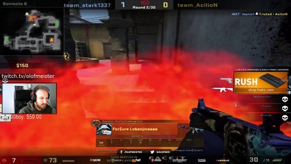 CS:GO - WHEN THE MOLLY BUG LOVES YOU