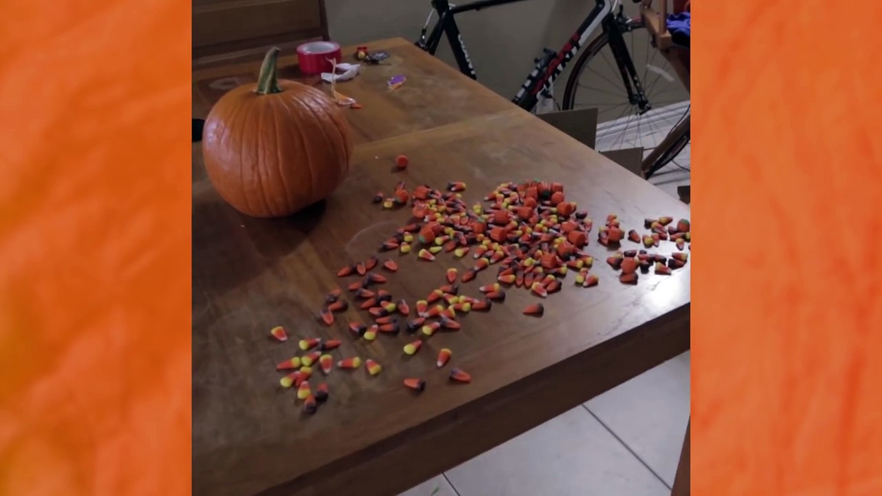 When you eat too Much Halloween Candy