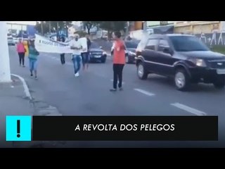 A revolta dos pelegos