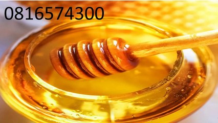 0816574300 Jual Madu Anak Seram Bagian Barat