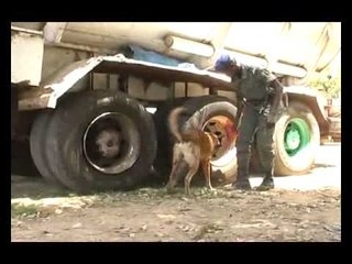 300 kg de drogue saisie dans un camion citerne