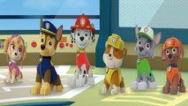 Paw Patrol 2017, Paw Patrol Pups Save The Day, Paw Patrol With Police Car