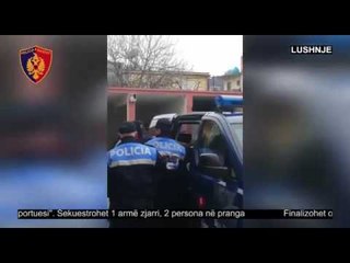 "Transportuesi" - Tregtia me armë në Lushnje, 60 mijë lekë një pistoletë, 2 të arrestuar