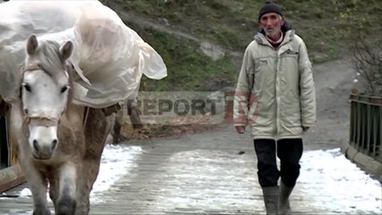 Report TV - Vendimi, formula e re e pikëzimit për të marrë ndihmën ekonomike