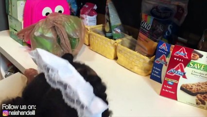 Bad Baby Attacked By Sumo Funny Kids Family Fun Video l Giant Gummy Worm-eSGg-