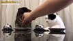 Sabırsız Otel Müşterisi Gibi Zile Abana Abana Mama İsteyen Kediler