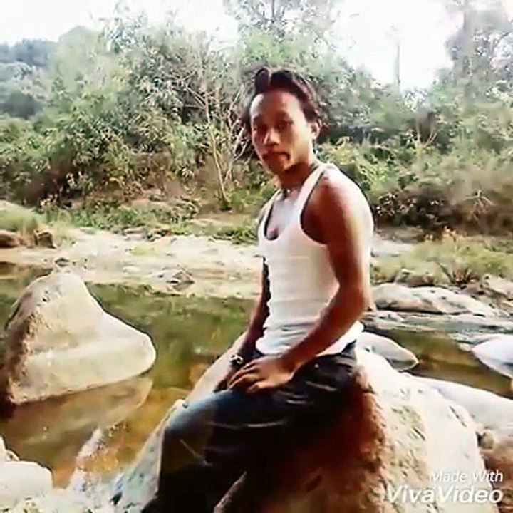 Local Tiger
