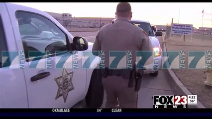 ZBULOHET KOKAINE NE “HUNDEN” E NJE AVIONI - News, Lajme - Kanali 14