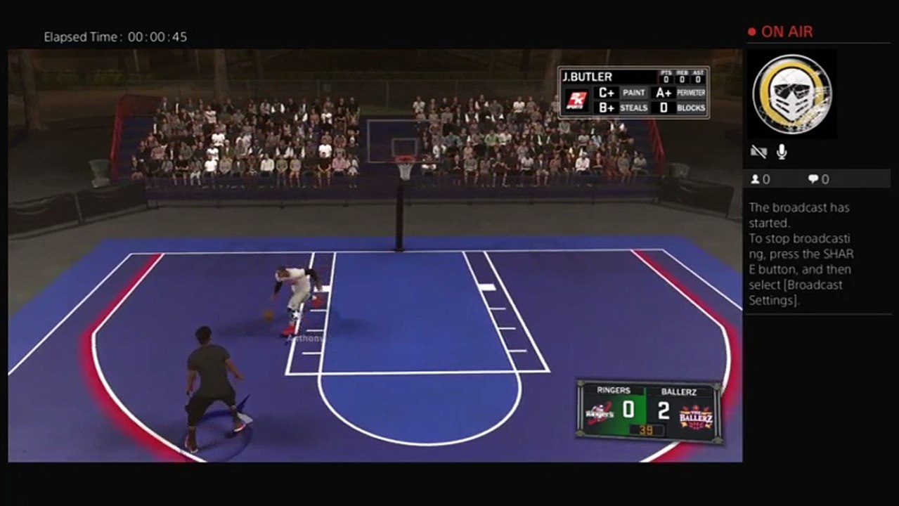 bulls (7)