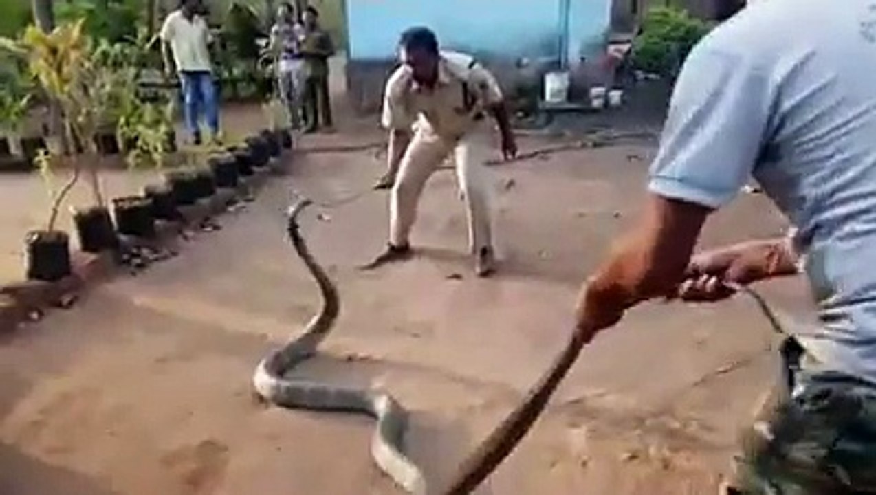 unexpected Wow.....