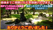 【日本好き 外国人】ドイツのクリスマスマーケットを着物で歩いて、パンダ状態になってしまった俺　　【日本びいき ほっこりする話】