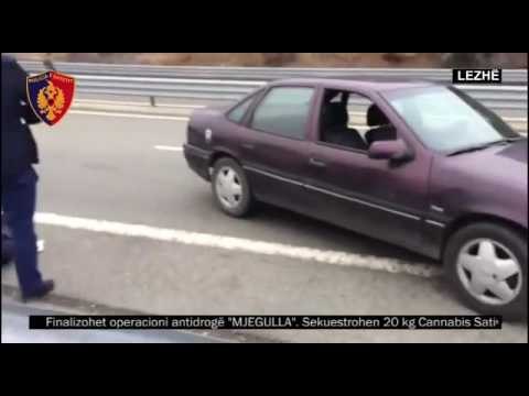 Tepelenë dhe Lezhë - Dy operacione antidrogë, sekuestrohen 54 kg kanabis, 3 të arrestuar