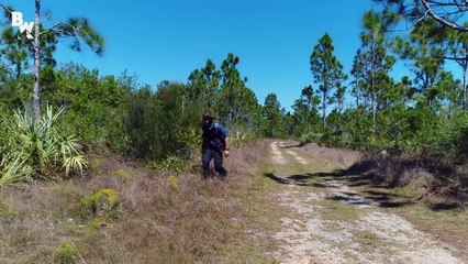 Reptilian Invaders in Florida!