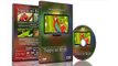 Relaxation DVD - Tropical Birds with Music or Nature Sound Calming Scenes of Pure Nature for Dogs and Cats and Happy Peo