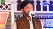 Taimoor Sultan Madni, New Naat Beautifull Islamic Naats Urdu & Punjabi Pakistani Naats Best In World