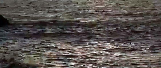 吉永淳 「…好きだよ」 ラブシーン　村上虹郎×吉永淳 ムビコレのチャンネル登録はこちら▷▷http://goo.gl/ruQ5N7 【関連動画】