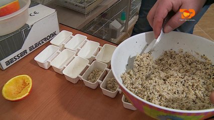 Ne Shtepine Tone, 3 Shkurt 2017, Pjesa 5 - Top Channel Albania - Entertainment Show