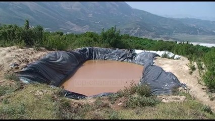 Saga Çiço.. edhe hashash - Top Channel Albania - News - Lajme