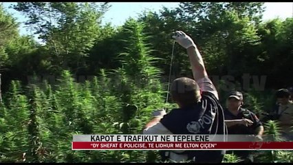 Prokuroria sqaron arrestimin e shefit të rendit në Vlorë - News, Lajme - Vizion Plus