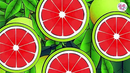 Kathbirali Kathbirali Bangla Chora - কাঠবিড়ালী কাঠবিড়ালী বাংলা ছড়া